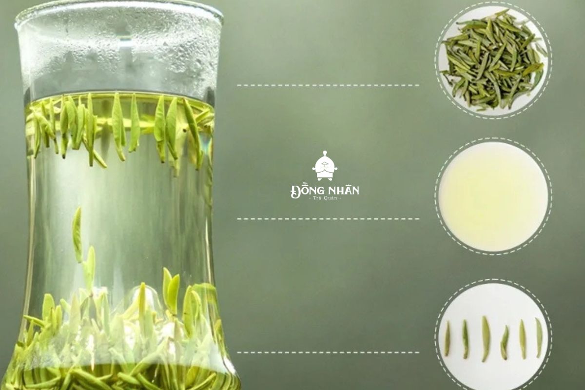 TRÀ HOÀNG SƠN MAO PHONG - CÁCH PHA TRÀ VÀ NHẬN DẠNG